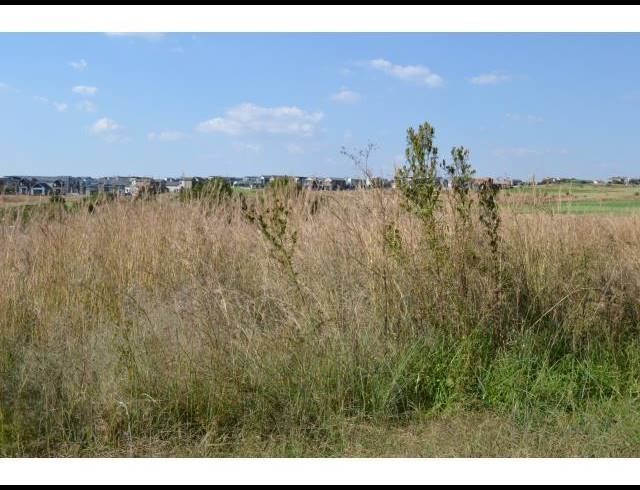 LAND FOR SALE IN COPPERLEAF ESTATE